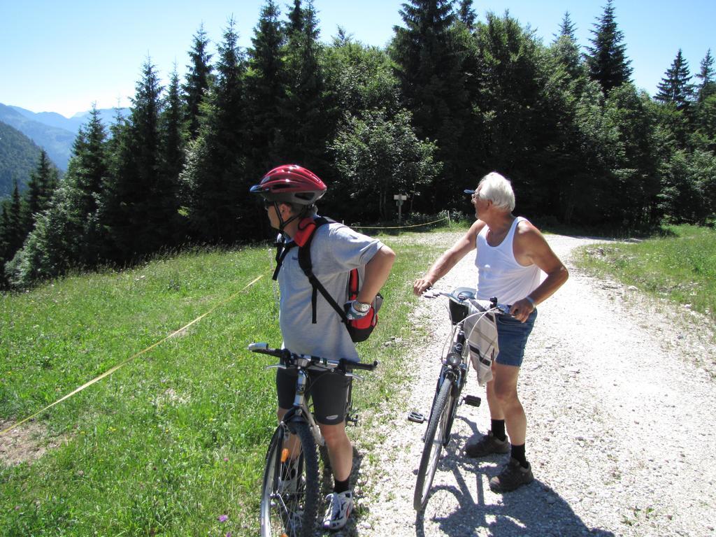 Pension Sydler Bad Goisern Esterno foto